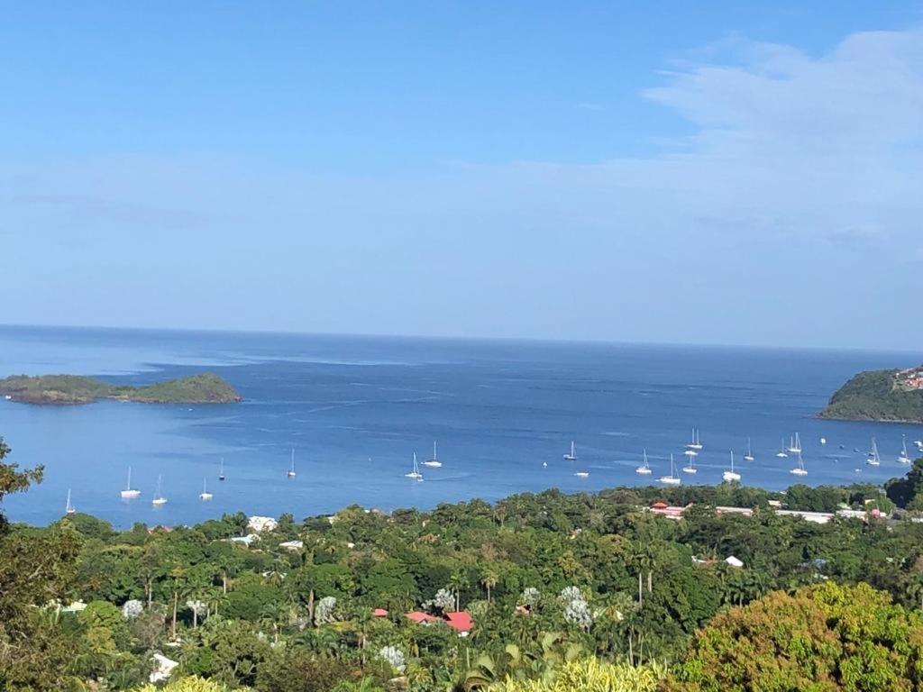 Calypso Bay Villa Bouillante Eksteriør bilde
