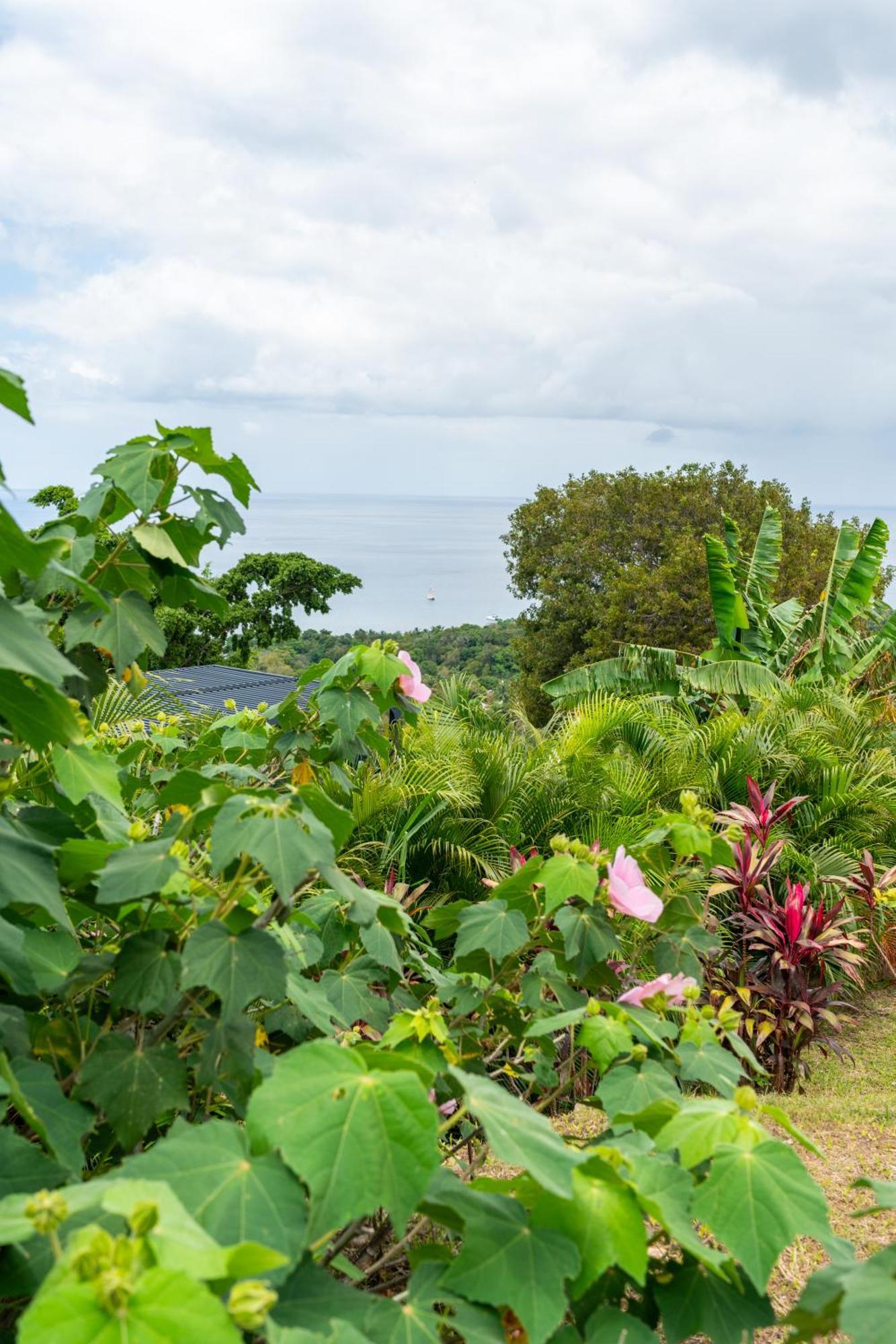 Calypso Bay Villa Bouillante Eksteriør bilde