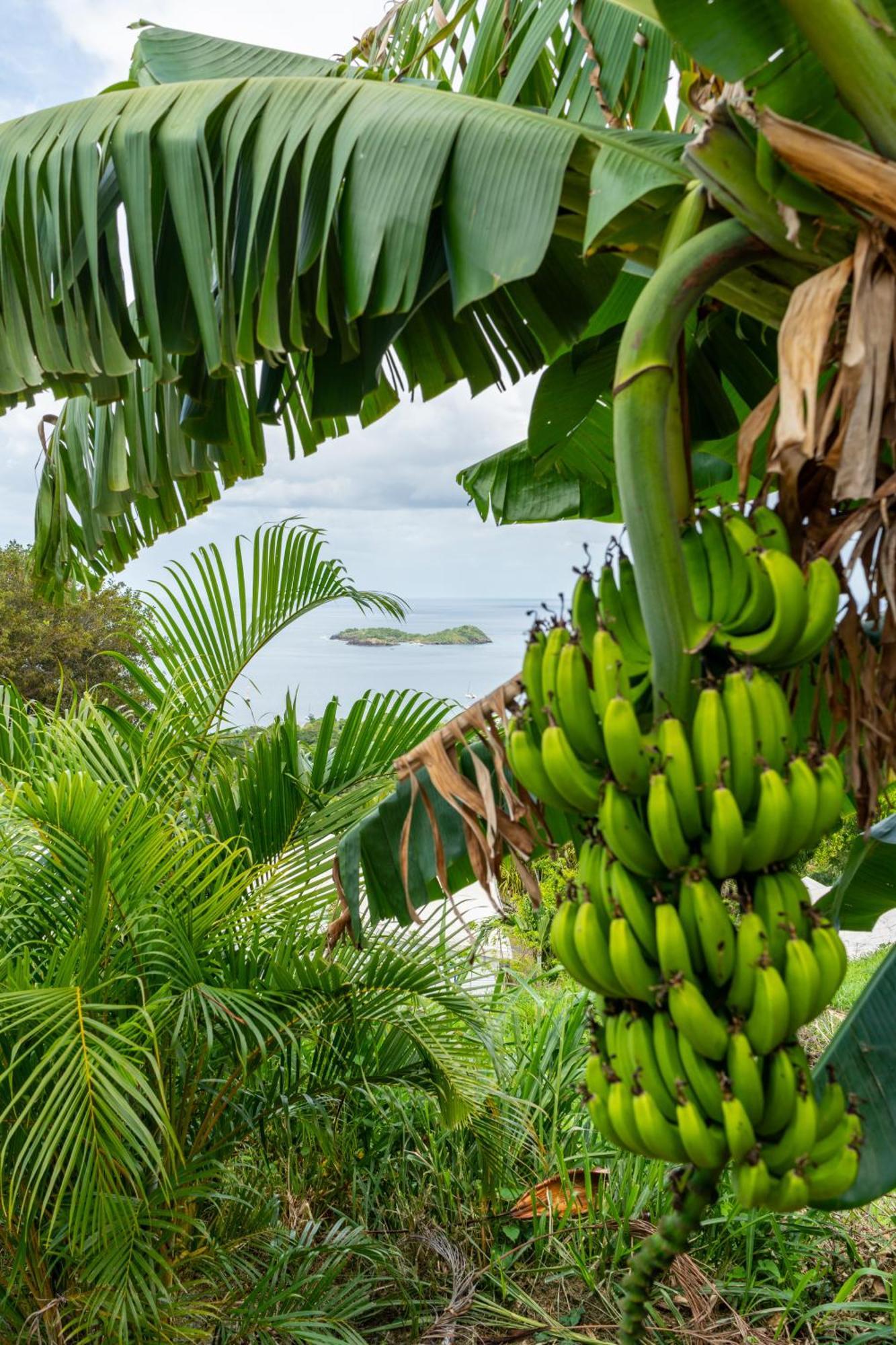 Calypso Bay Villa Bouillante Eksteriør bilde